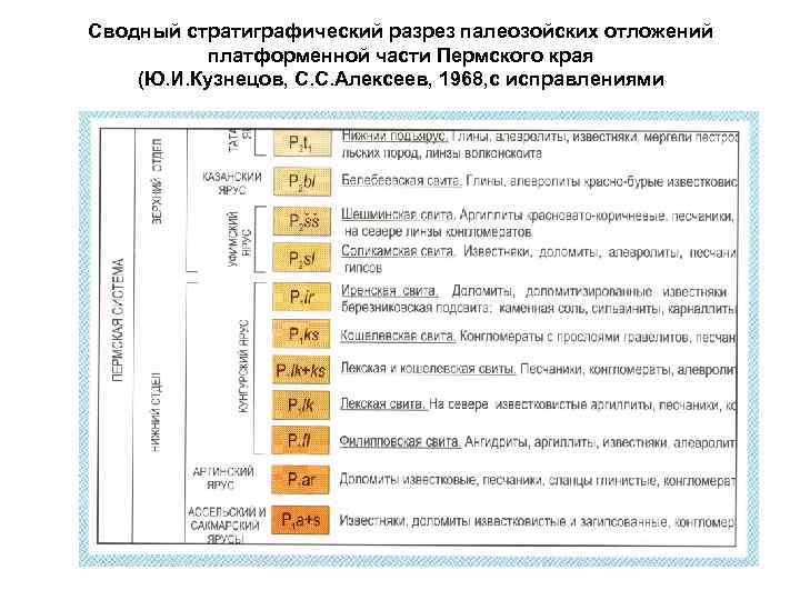 Сводный стратиграфический разрез палеозойских отложений платформенной части Пермского края (Ю. И. Кузнецов, С. С.