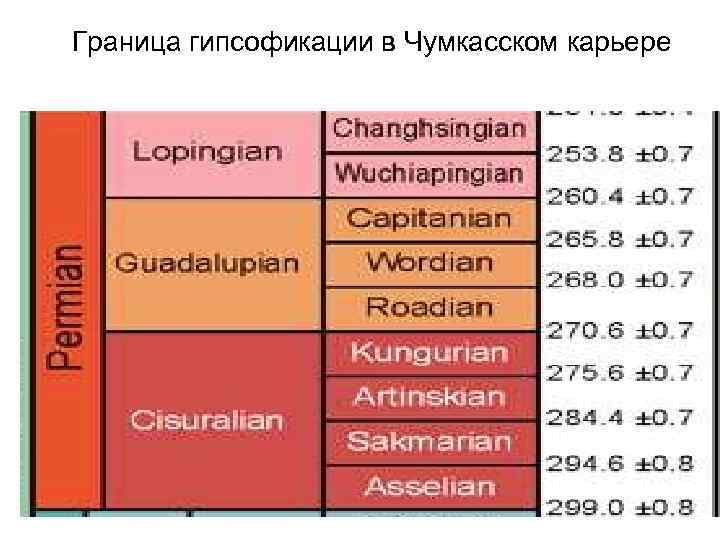 Граница гипсофикации в Чумкасском карьере 