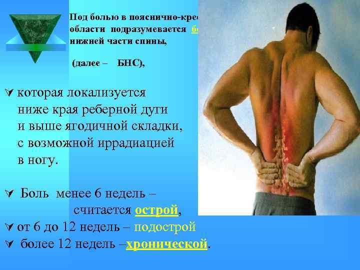 Под болью в пояснично-крестцовой области подразумевается боль в нижней части спины, (далее – БНС),