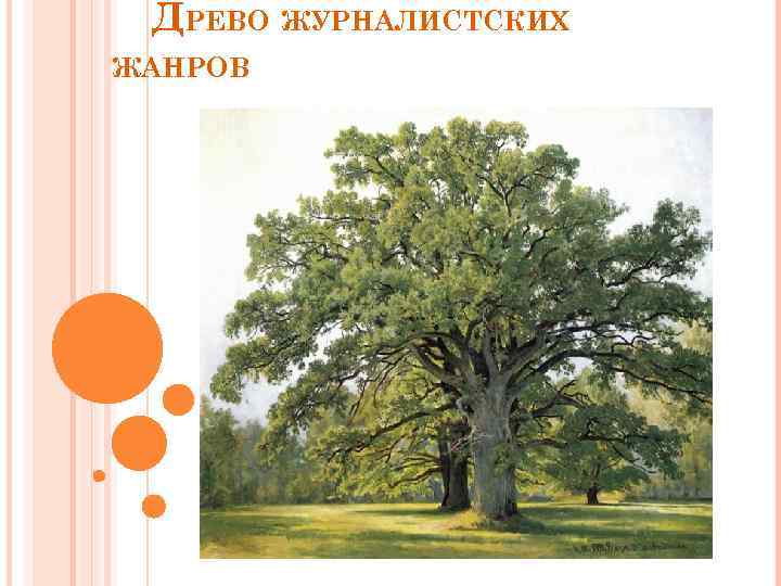 ДРЕВО ЖУРНАЛИСТСКИХ ЖАНРОВ 