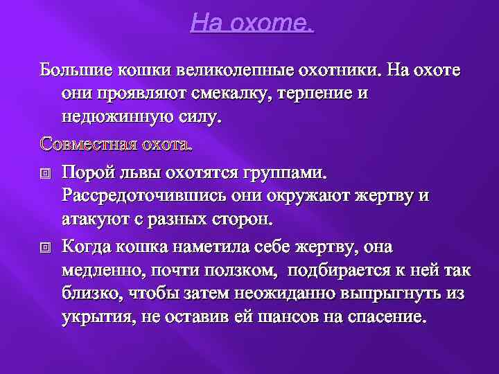 На охоте. Большие кошки великолепные охотники. На охоте они проявляют смекалку, терпение и недюжинную