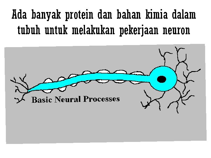 Ada banyak protein dan bahan kimia dalam tubuh untuk melakukan pekerjaan neuron 
