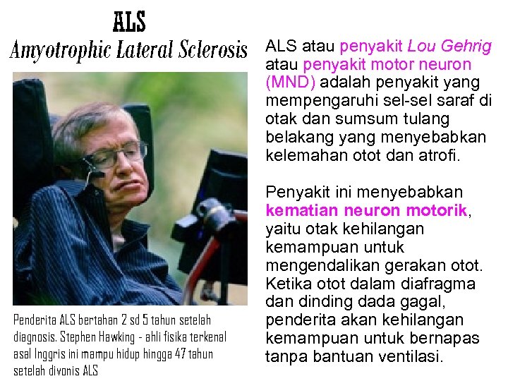 ALS Amyotrophic Lateral Sclerosis Penderita ALS bertahan 2 sd 5 tahun setelah diagnosis. Stephen