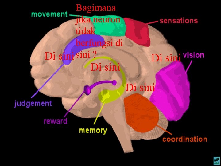 Bagimana jika neuron tidak berfungsi di Di sini ? Di sini 