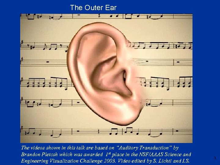 The Outer Ear The videos shown in this talk are based on “Auditory Transduction”