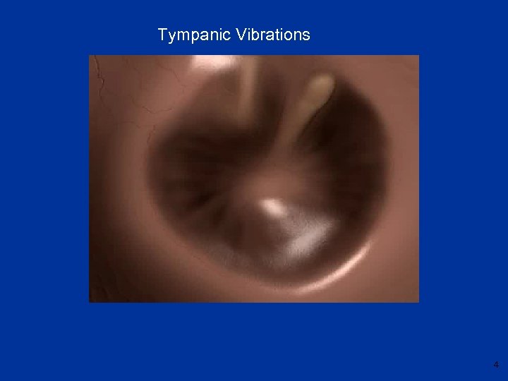 Tympanic Vibrations 4 