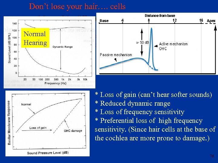 Don’t lose your hair…. cells Many of the differences in perception between natural hearing