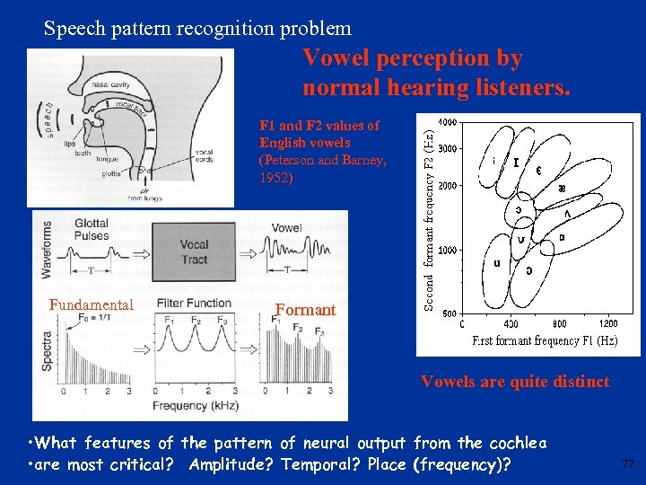 Speech pattern recognition problem Vowel perception by normal hearing listeners. F 1 and F