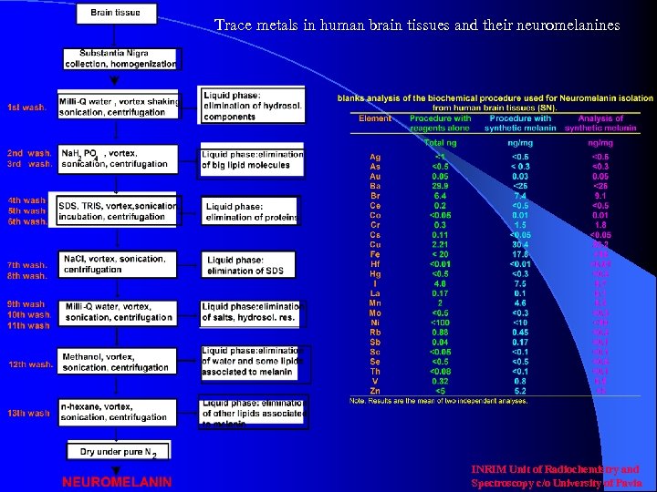Trace metals in human brain tissues and their neuromelanines INRIM Unit of Radiochemistry and