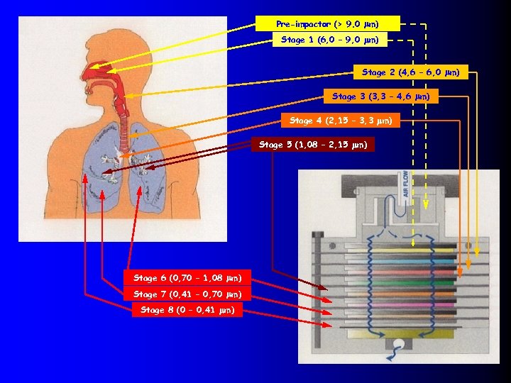 Pre-impactor (> 9. 0 m) Stage 1 (6, 0 – 9, 0 m) Stage