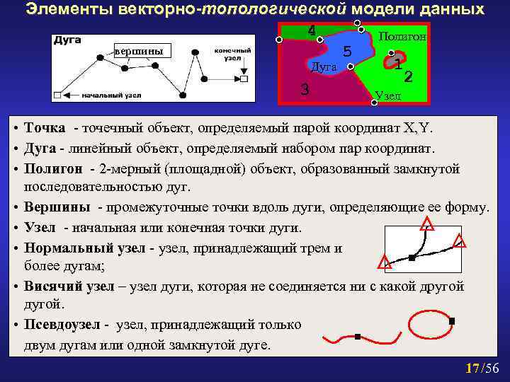 Понятие линии узла сегмента контура векторного изображения