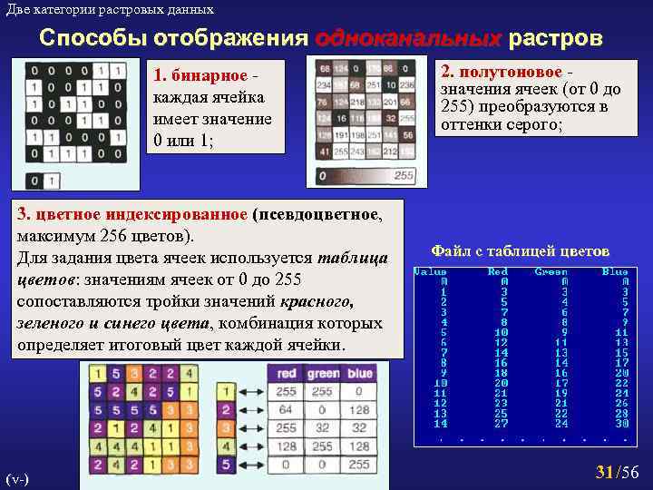 Поясните слова пиксель растр разрешение фрагмент изображения графические примитивы