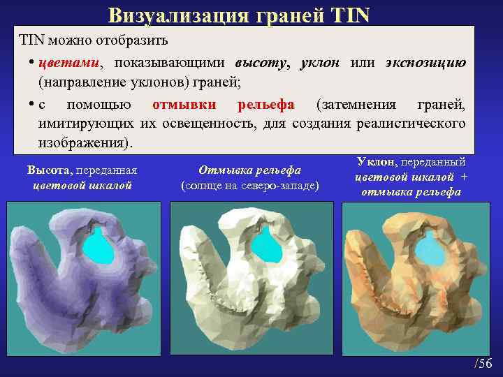 Визуализация граней TIN можно отобразить • цветами, показывающими высоту, уклон или экспозицию (направление уклонов)