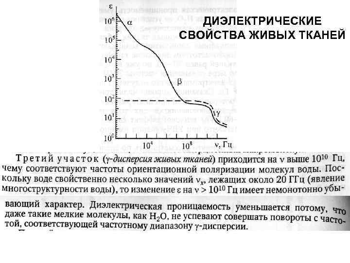 ДИЭЛЕКТРИЧЕСКИЕ СВОЙСТВА ЖИВЫХ ТКАНЕЙ 