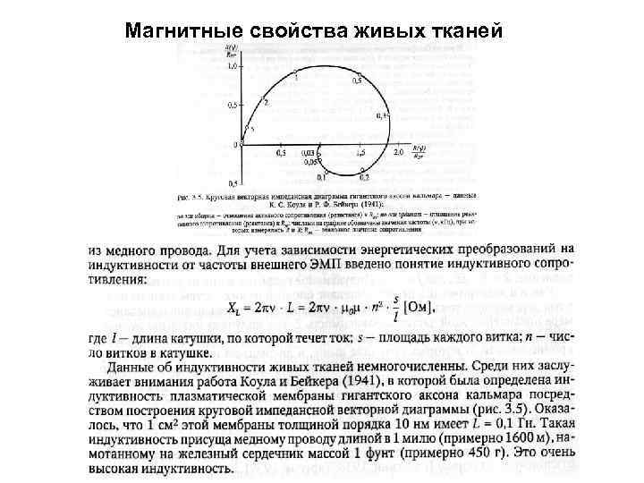 Магнитные свойства живых тканей 