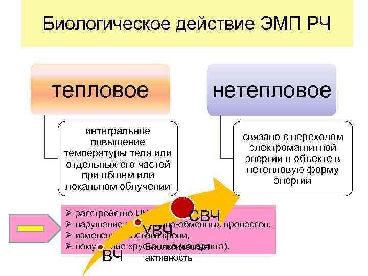 Биологическое действие ЭМП РЧ тепловое нетепловое интегральное повышение температуры тела или отдельных его частей