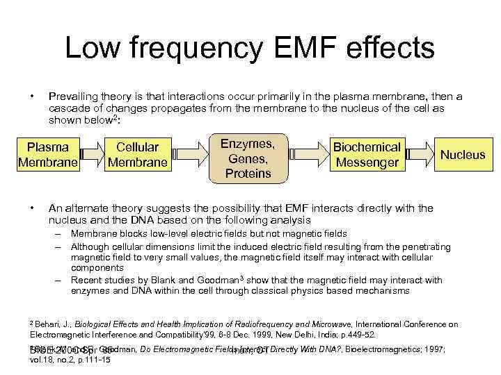 Low frequency EMF effects • Prevailing theory is that interactions occur primarily in the