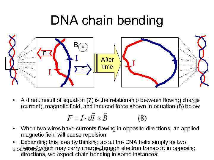 DNA chain bending B F I I • • F After time I I