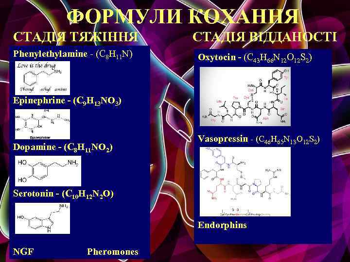 ФОРМУЛИ КОХАННЯ СТАДІЯ ТЯЖІННЯ Phenylethylamine - (C 8 H 11 N) СТАДІЯ ВІДДАНОСТІ Oxytocin