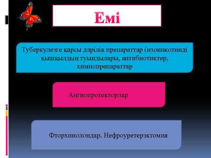 Емі Туберкулезге қарсы дәрілік препараттар (изоникотинді қышқылдың туындылары, антибиотиктер, химиопрепараттар Ангиопротекторлар Фторхинолондар. Нефроуретерэктомия 
