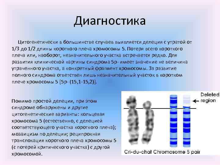 Плечи хромосом