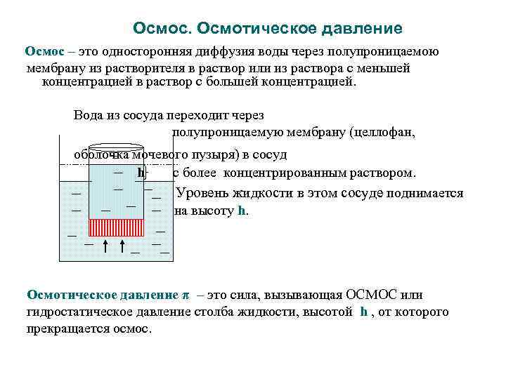 Осмос. Осмотическое давление Осмос – это односторонняя диффузия воды через полупроницаемою мембрану из растворителя