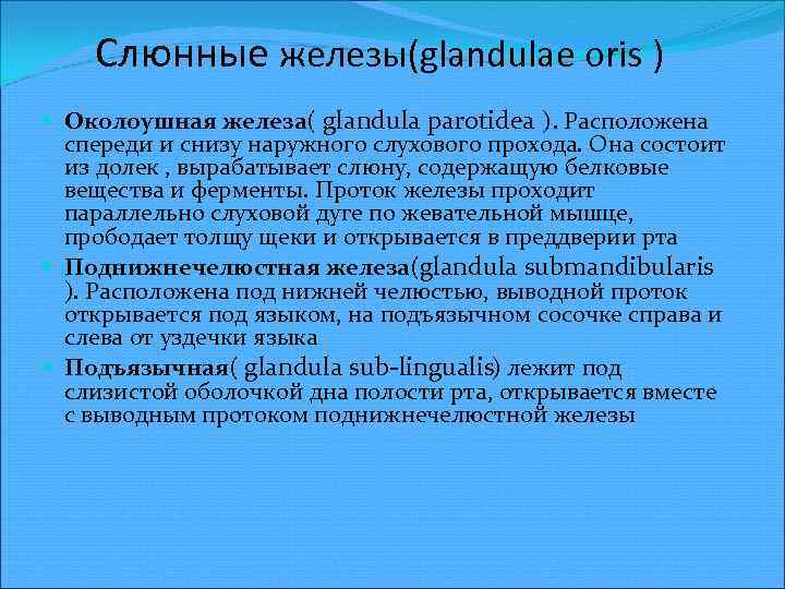 Слюнные железы(glandulae oris ) Околоушная железа( glandula parotidea ). Расположена спереди и снизу наружного