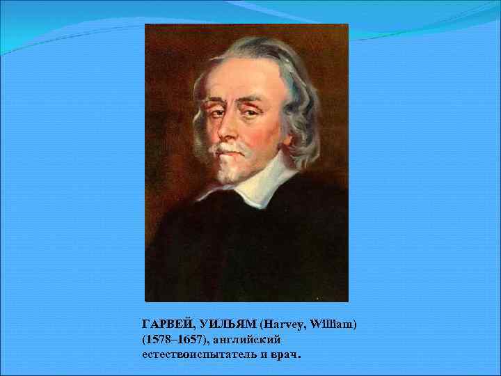 ГАРВЕЙ, УИЛЬЯМ (Harvey, William) (1578– 1657), английский естествоиспытатель и врач. 