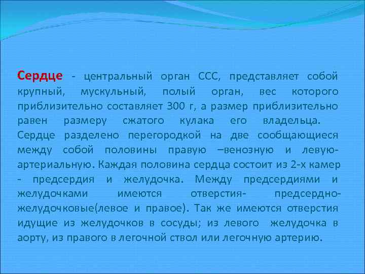 Сердце - центральный орган ССС, представляет собой крупный, мускульный, полый орган, вес которого приблизительно