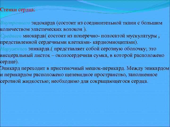 Стенки сердца: Внутреннего эндокарда (состоит из соединительной ткани с большим Внутреннего количеством эластических волокон