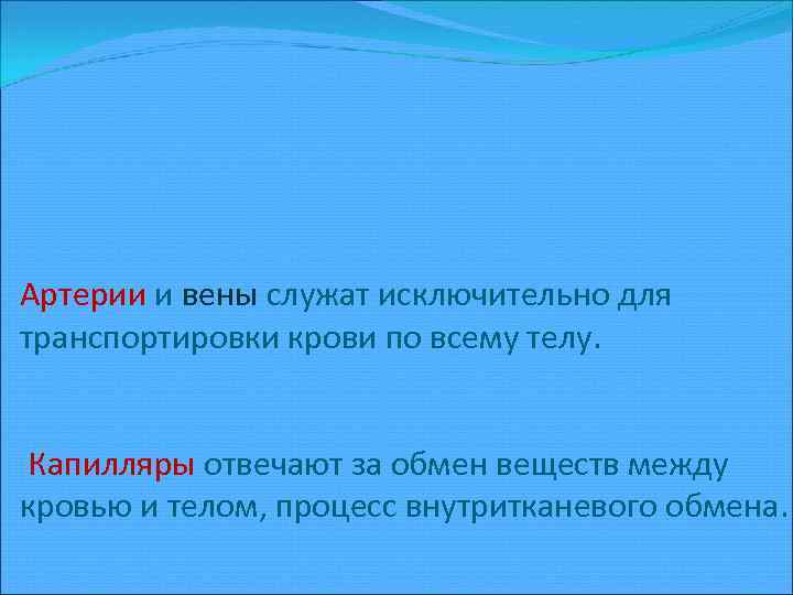 Артерии и вены служат исключительно для транспортировки крови по всему телу. Капилляры отвечают за