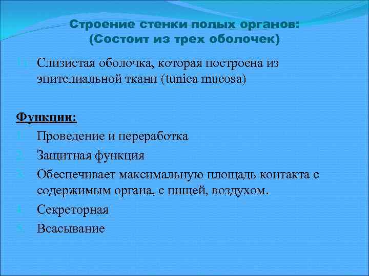 Строение стенки полых органов: (Состоит из трех оболочек) 1) Слизистая оболочка, которая построена из