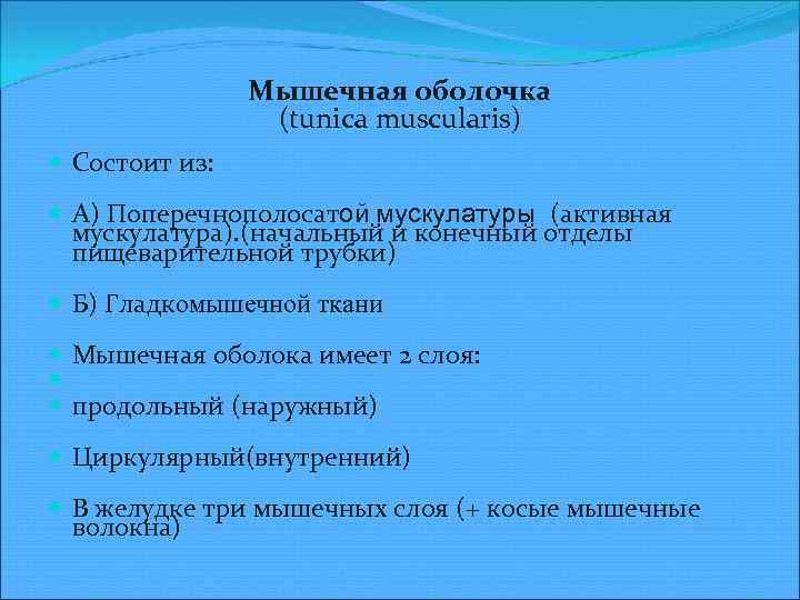 Мышечная оболочка (tuniсa musсularis) Состоит из: А) Поперечнополосатой мускулатуры (активная мускулатура). (начальный и конечный