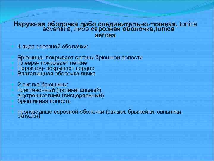 Наружная оболочка либо соединительно-тканная, tuniсa adventitia, либо серозная оболочка, tuniсa serosa 4 вида серозной