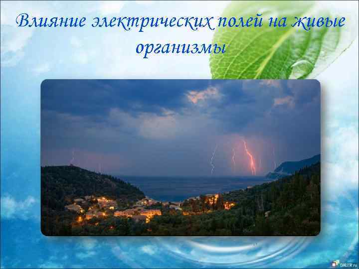 Влияние электрических полей на живые организмы 