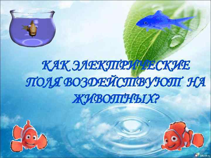 КАК ЭЛЕКТРИЧЕСКИЕ ПОЛЯ ВОЗДЕЙСТВУЮТ НА ЖИВОТНЫХ? 