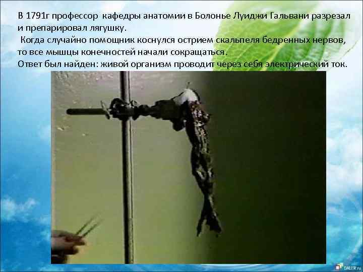 В 1791 г профессор кафедры анатомии в Болонье Луиджи Гальвани разрезал и препарировал лягушку.