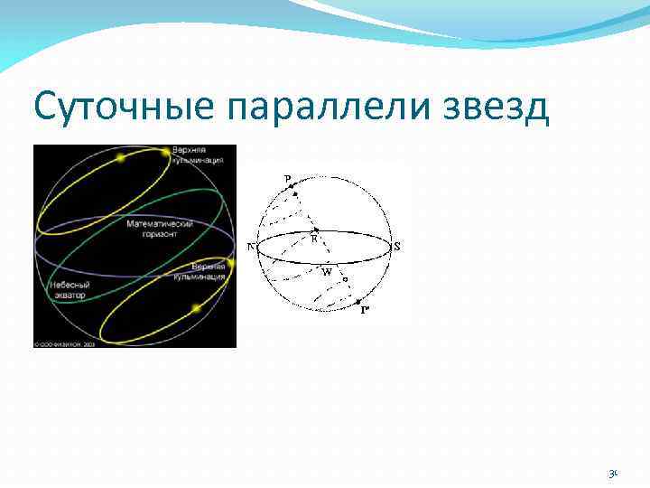 Суточные параллели звезд 31 