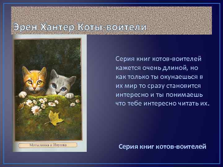 Эрен Хантер Коты-воители Серия книг котов-воителей кажется очень длиной, но как только ты окунаешься