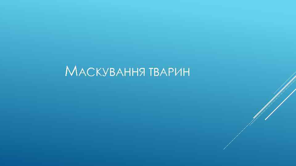 МАСКУВАННЯ ТВАРИН 
