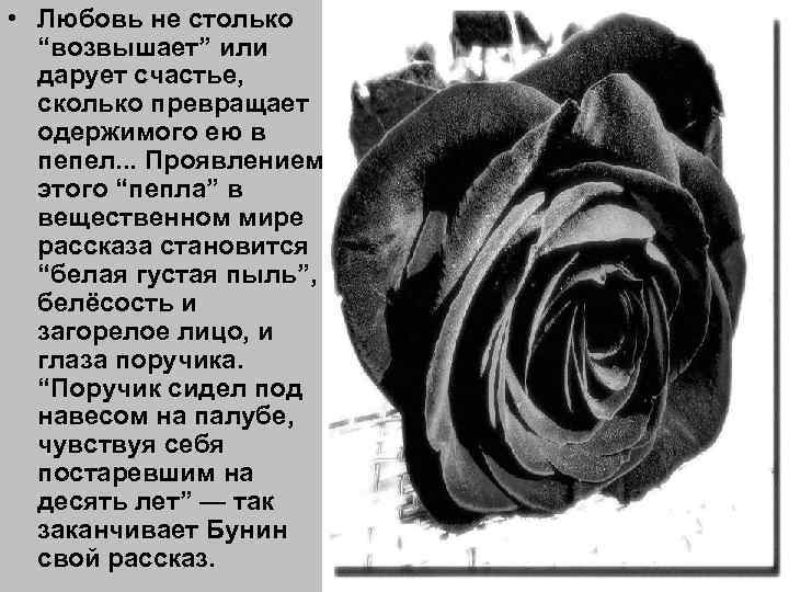  • Любовь не столько “возвышает” или дарует счастье, сколько превращает одержимого ею в