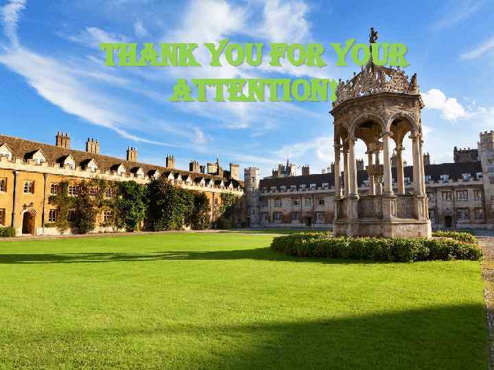 THANK YOU FOR YOUR ATTENTION! 