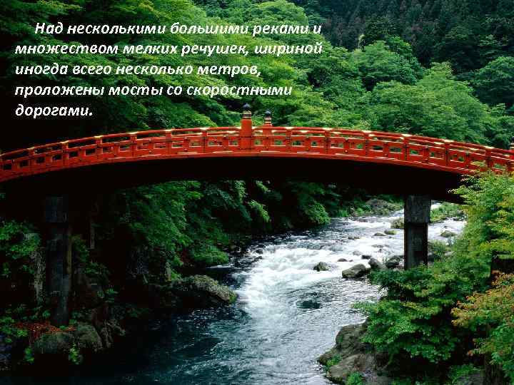  Над несколькими большими реками и множеством мелких речушек, шириной иногда всего несколько метров,
