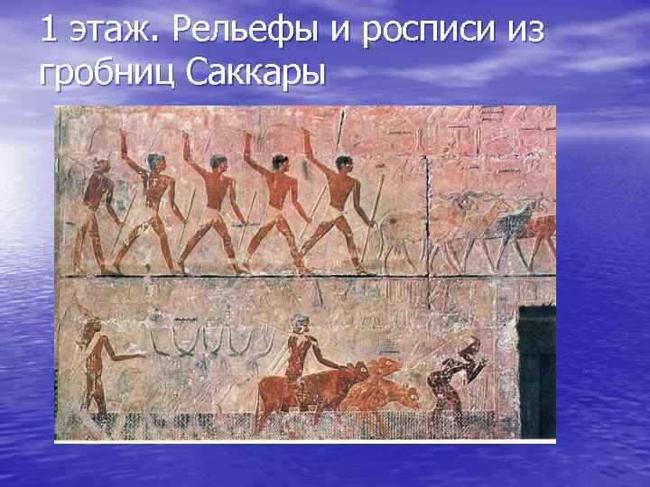 1 этаж. Рельефы и росписи из гробниц Саккары 