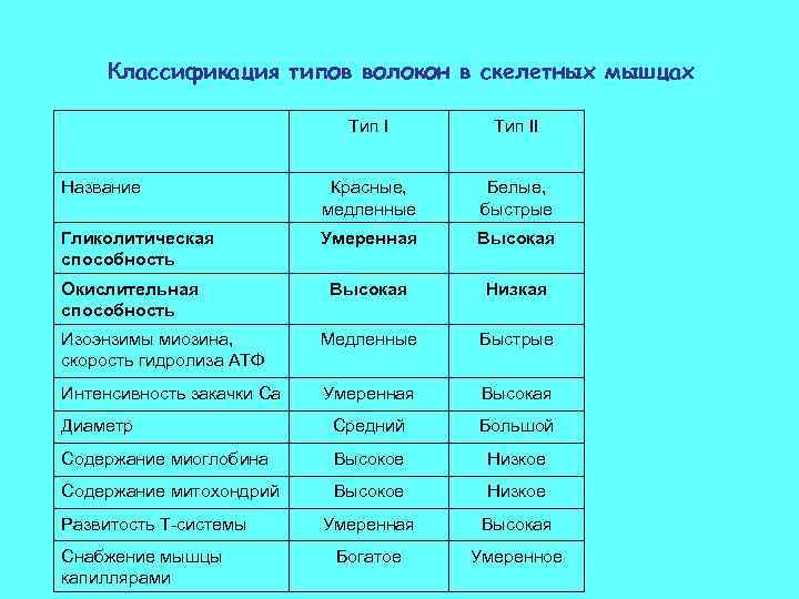 Классификация типов волокон в скелетных мышцах Тип II Название Красные, медленные Белые, быстрые Гликолитическая