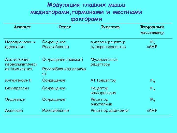 Модуляция гладких мышц медиаторами, гормонами и местными факторами Агонист Ответ Рецептор Вторичный мессенджер Норадреналин