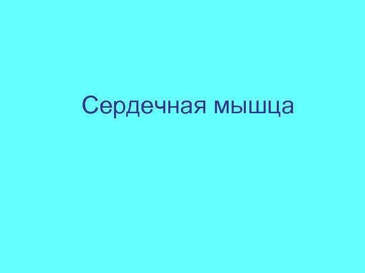 Сердечная мышца 