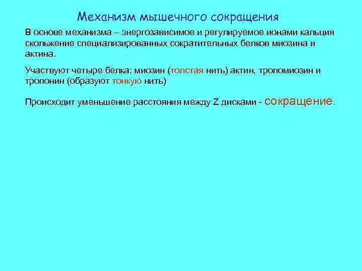 Механизм мышечного сокращения В основе механизма – энергозависимое и регулируемое ионами кальция скольжение специализированных