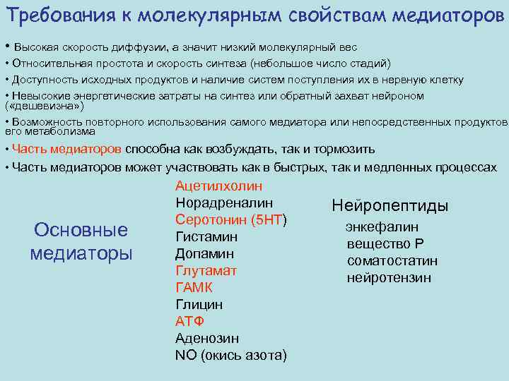 Требования к молекулярным свойствам медиаторов • Высокая скорость диффузии, а значит низкий молекулярный вес
