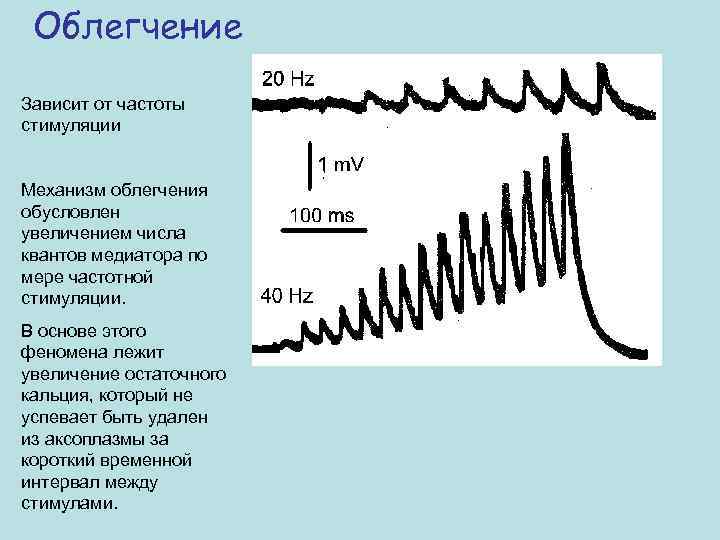 Облегчение Зависит от частоты стимуляции Механизм облегчения обусловлен увеличением числа квантов медиатора по мере